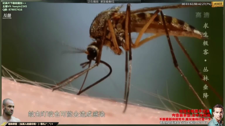 【科普】黑子影视haoyin1234的精彩时刻 20210430 23点场