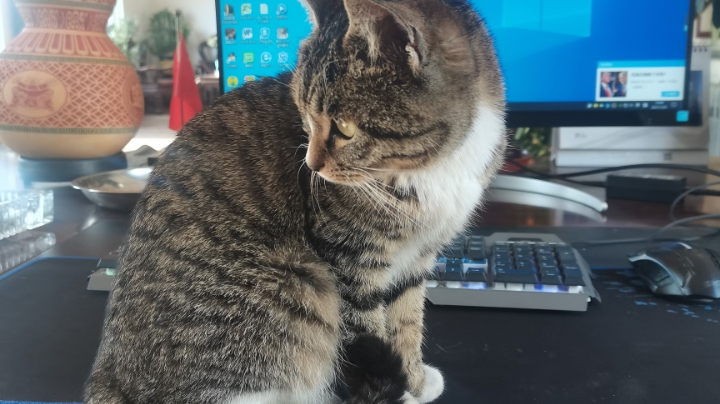 代肝日常