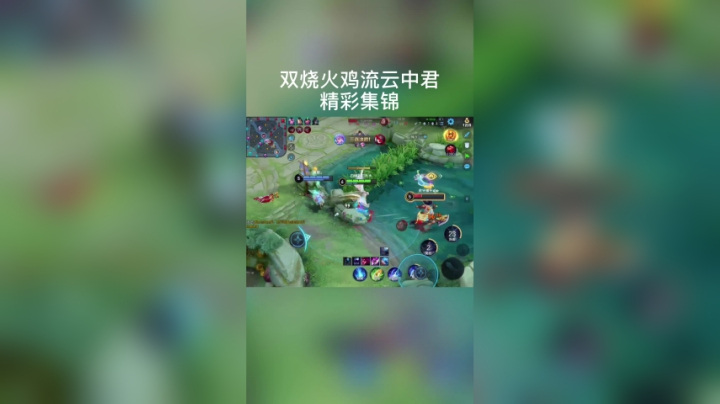 双烧火鸡流云中君精彩集锦