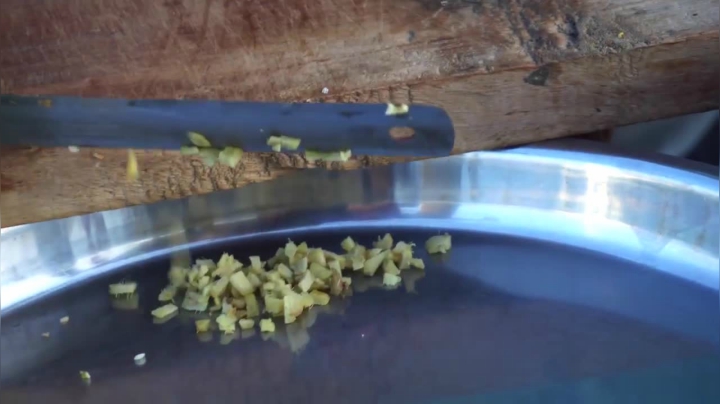 疯狂的印度美食 _ Kadhi Chawal传统美食印度大米和白菩提