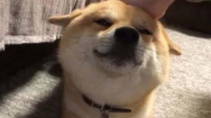 战地五