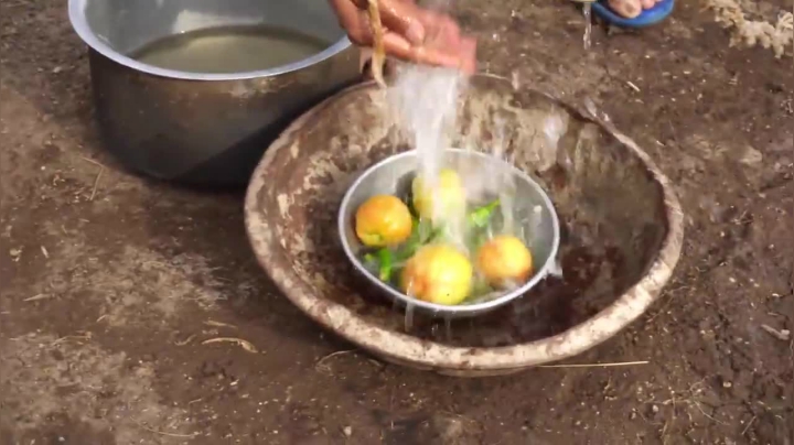 疯狂的印度美食 _ 印度蔬菜饼
