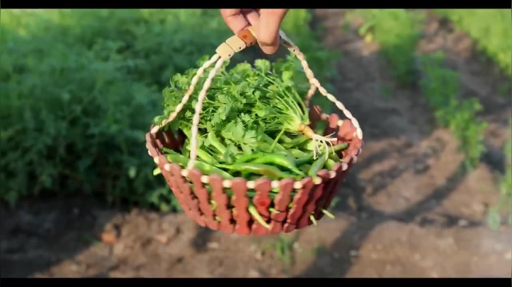 疯狂的印度美食 _ Nikunj Vasoya最惊叹的一次印度美食制作