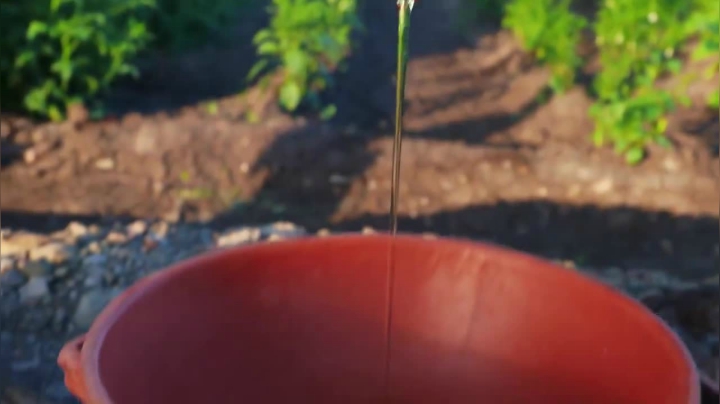 疯狂的印度美食 _ 印度乡村咖喱沙拉烤肉食谱