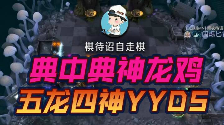 典中典之神龙鸡