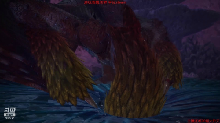 【2021-05-01 21点场】肖雕：斗鱼第一值得关注主播