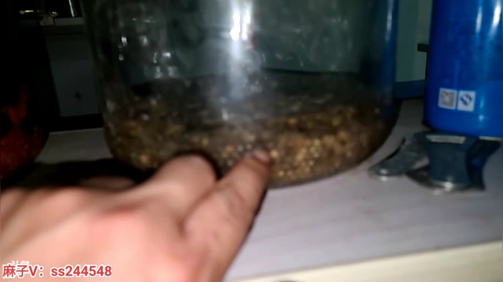 【2021-05-02 19点场】叶子户外：基地签约仪式启动