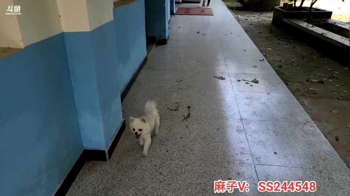 【2021-05-02 12点场】叶子户外：基地签约仪式启动