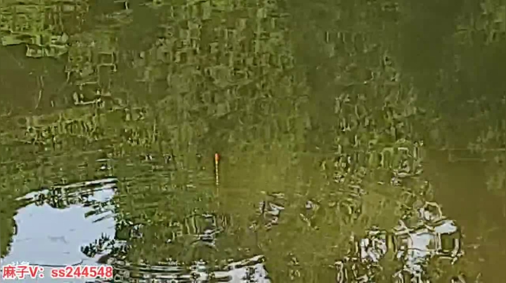 【2021-05-03 17点场】叶子户外：天下第一雄关 嘉峪关