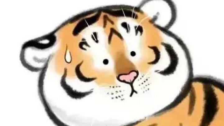 5/2 夜场