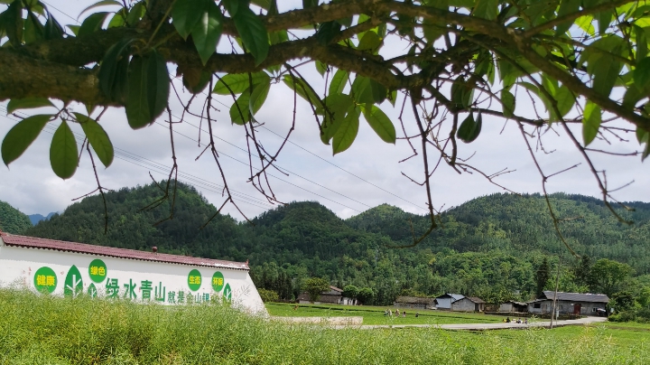 美丽乡村，共享美好生活