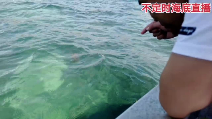 【2021-05-03 09点场】海道丶：海钓上线了