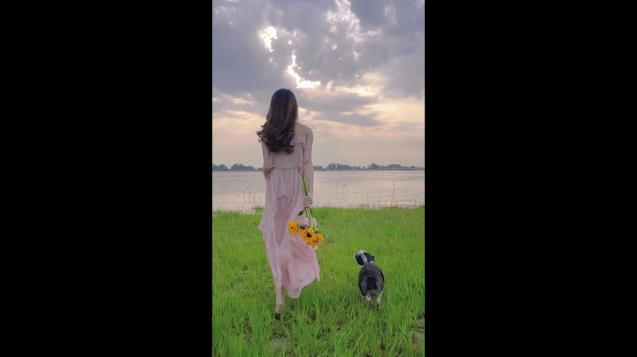 阳光与你都是我的夏日限定