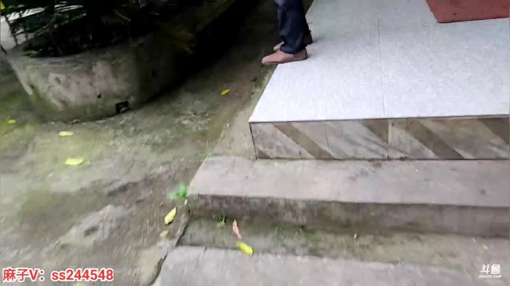 【2021-05-04 17点场】叶子户外：叶子在上海