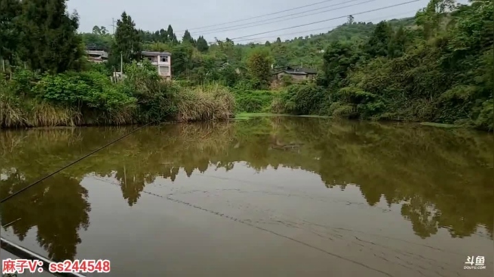 【2021-05-04 15点场】叶子户外：叶子在上海