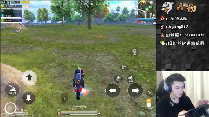 【2021-05-04 16点场】A扬丷：《带路人小姐姐》