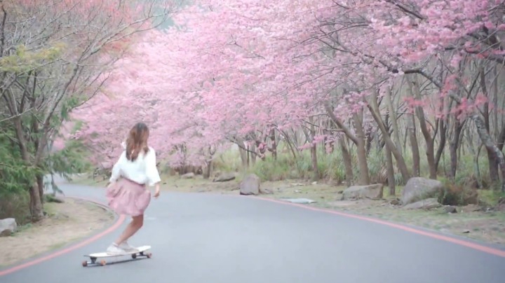 最美乡路  樱花路  美丽春野   樱花季 飘逸