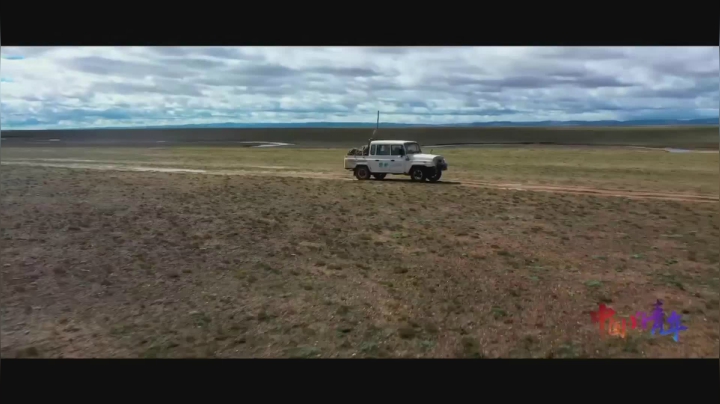 【2021-05-04 17点场】青微工作室：“学党史 强信念 跟党走”学习教育直播