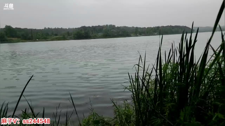 【2021-05-04 13点场】叶子户外：叶子在上海