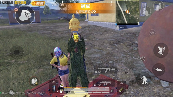 双排