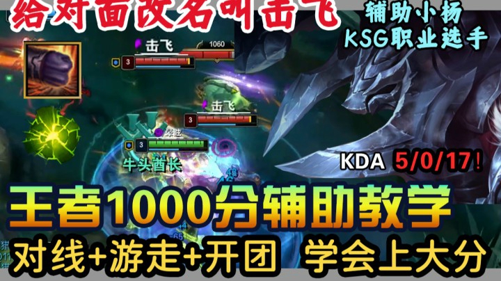 为什么这个辅助英雄强到LPL都要一选 这把王者局告诉你答案（塞拉斯除外！）【辅助小杨】