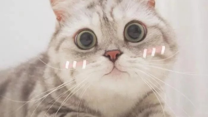 。。。