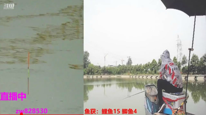 【2021-05-05 10点场】呆呆钓鱼户外：直播中掏坑鲤鱼120豆