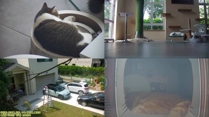 【2021-05-05 09点场】喵放送：喵放送☀️喵呜~