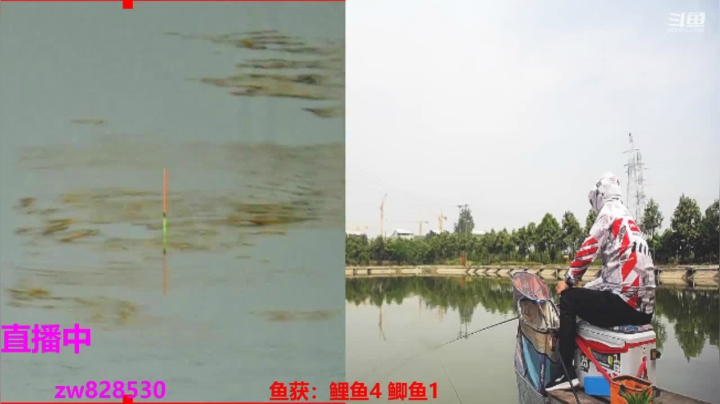 【2021-05-05 08点场】呆呆钓鱼户外：直播中掏坑鲤鱼120豆