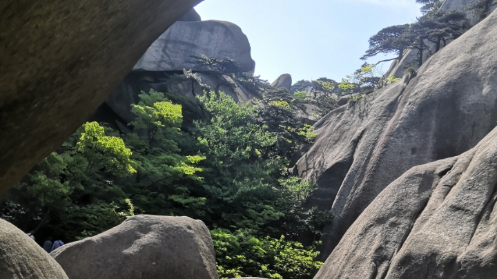 5.4晚场