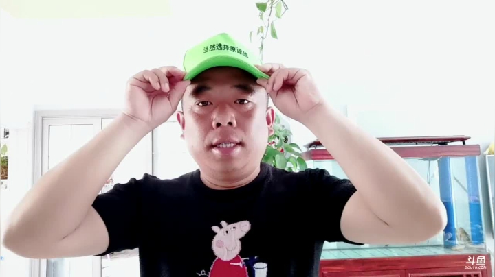 绿绿绿