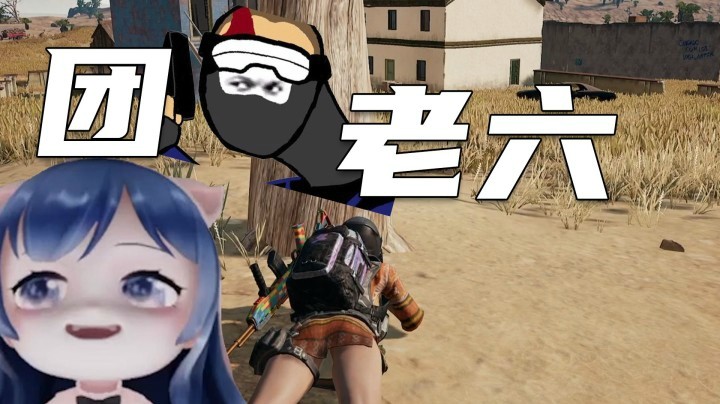 【一条小团团】团老六的诞生~