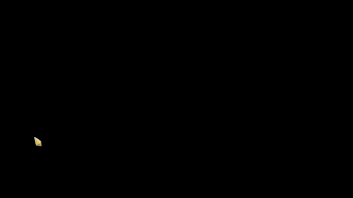 观者