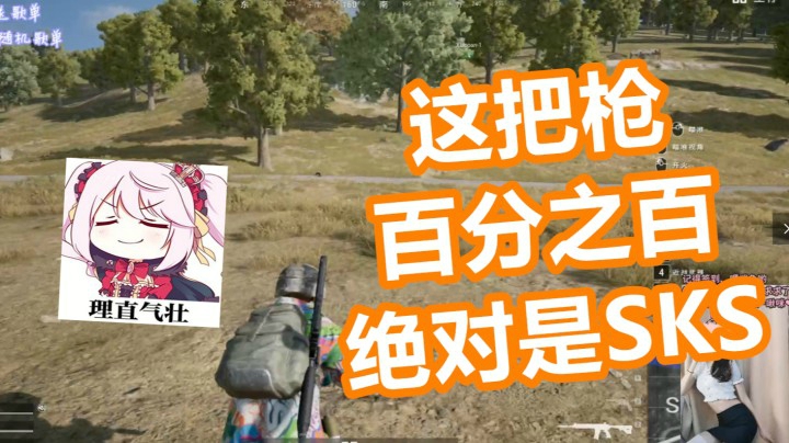 【棂儿】这把枪百分之百，绝对是SKS！！