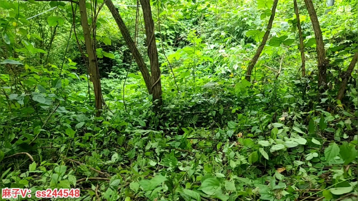 【2021-05-07 14点场】叶子户外：叶子在杭州义乌