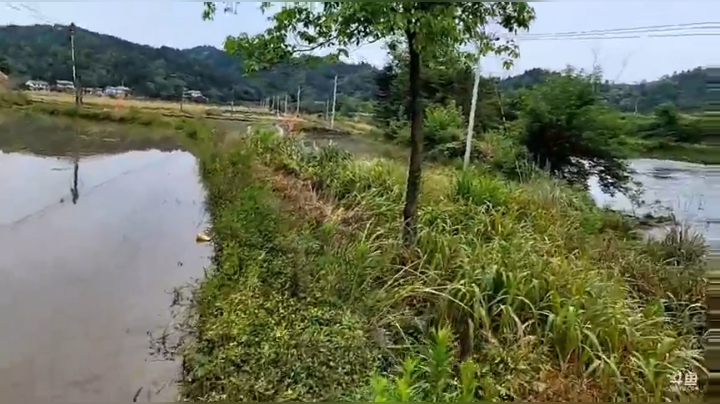 【2021-05-07 16点场】魅力生活i：又干自家鱼塘