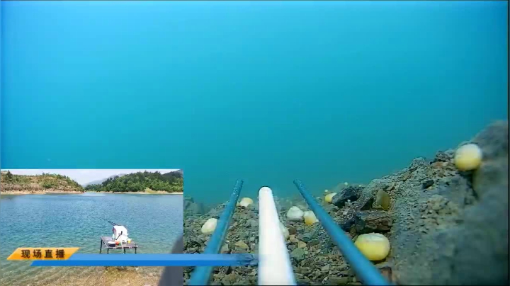 【2021-05-07 10点场】中华户外钓鱼：大水库干大青