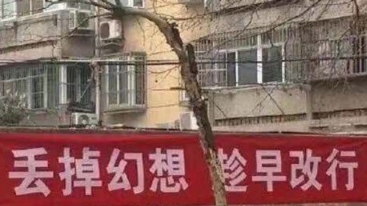 直播回看