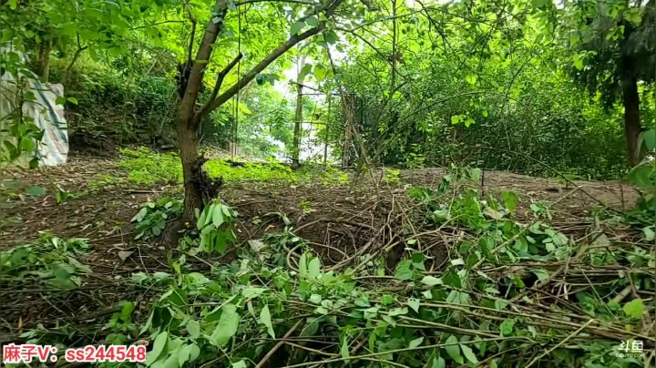 【2021-05-07 16点场】叶子户外：叶子在杭州义乌