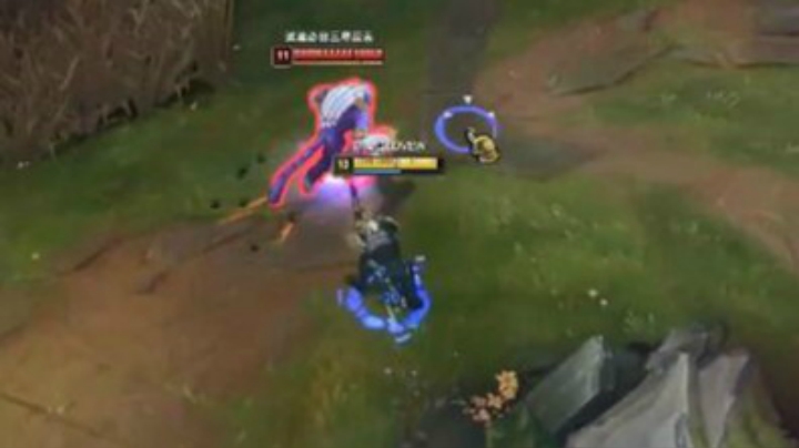 怎么打狮子狗？一切尽在我得计算之中