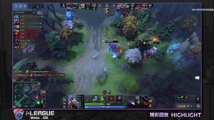 Aster对战Elephant第一局精彩集锦