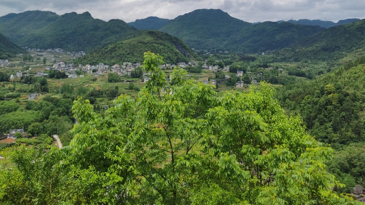 湘西张花高速沿路风景