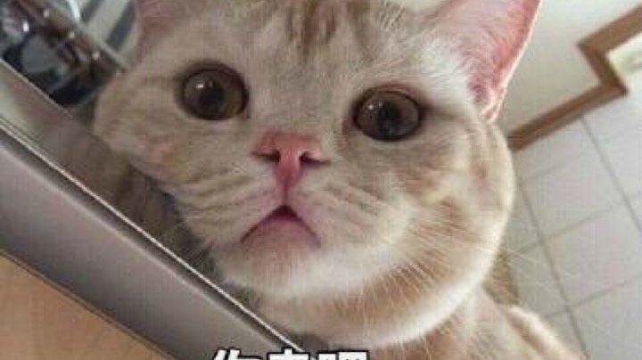 愉快的一天
