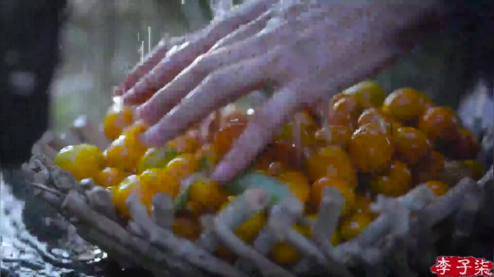 【美食】李子柒liziqi的精彩时刻 20210508 00点场