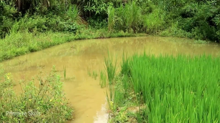 第二季1080P E32 鱼苗近况【真人我的世界-空手发展-单人炼铁】