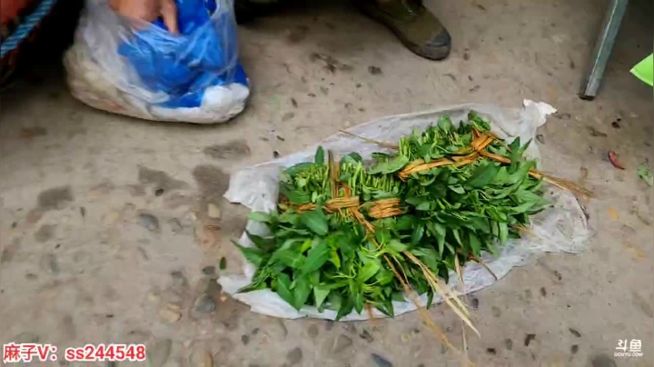 【2021-05-08 09点场】叶子户外：叶子在杭州义乌