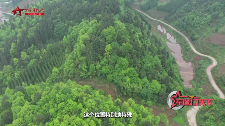 【原始森林里的红色足迹】雷打山地理位置有何特殊之处？