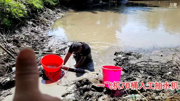 【2021-05-08 14点场】魅力生活i：继续干鱼塘