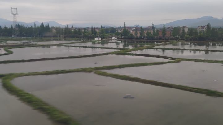孟老板 油画自学