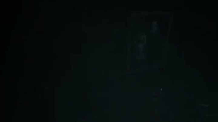 生化危机8村  唐娜·贝尼文托和安吉